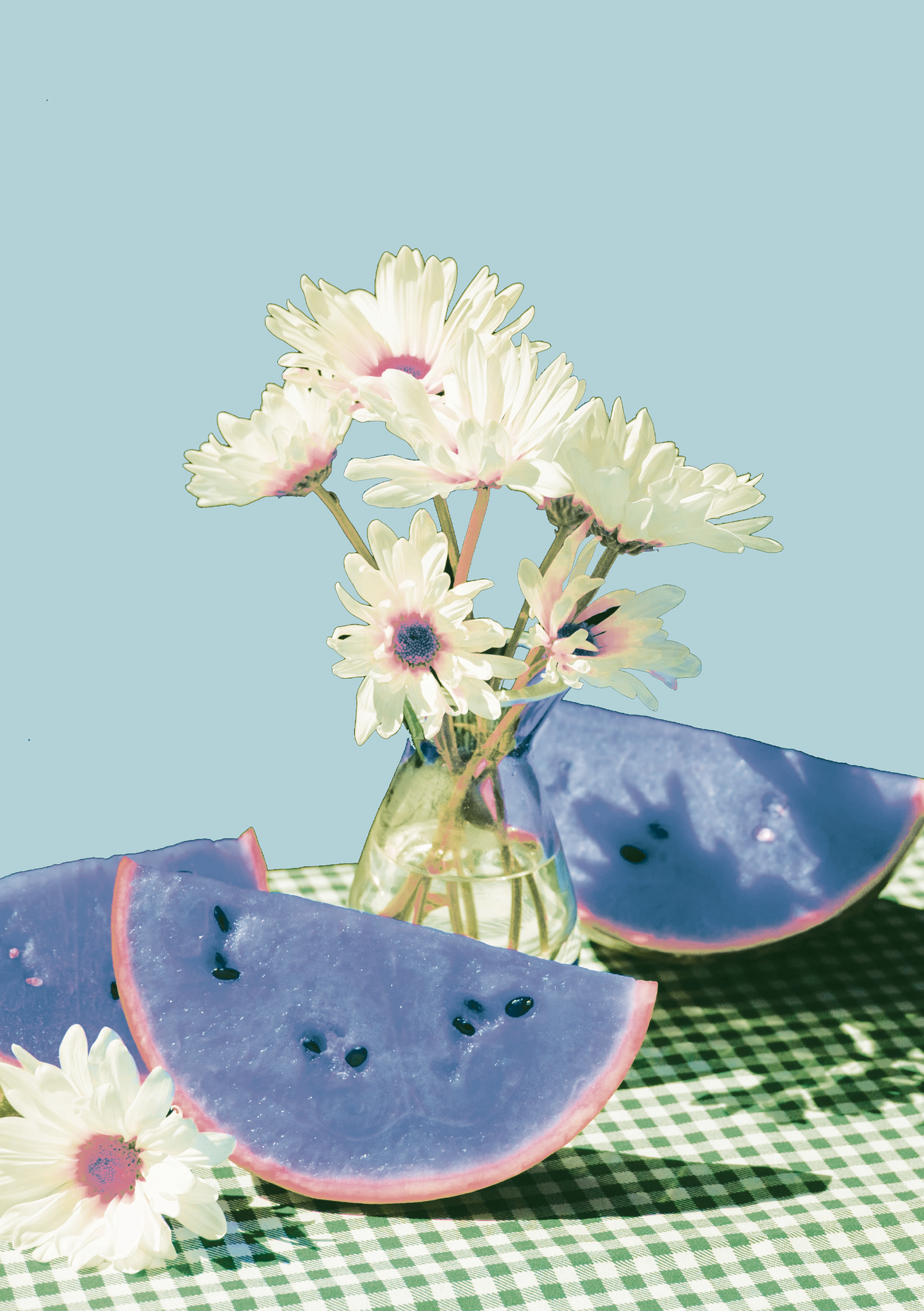 A3 Fairy Fruit Print