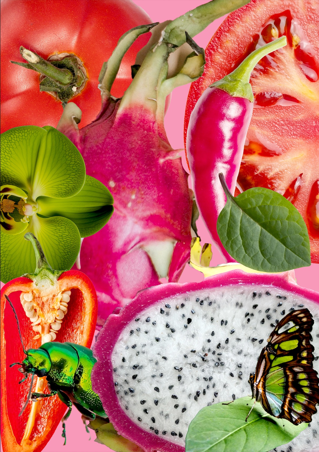 A3 Framed The Dragonfruit Salad