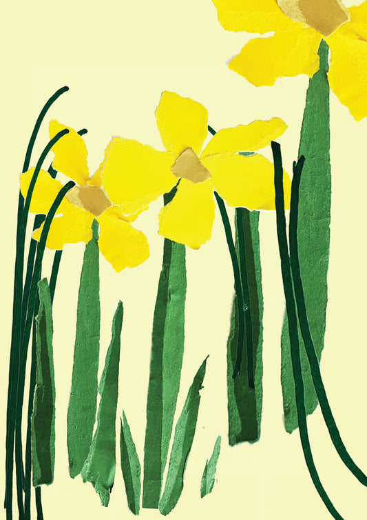 A3 Paper Daffodils