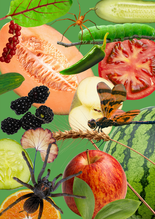 Collage of fruits, vegetables, and insects on a green background