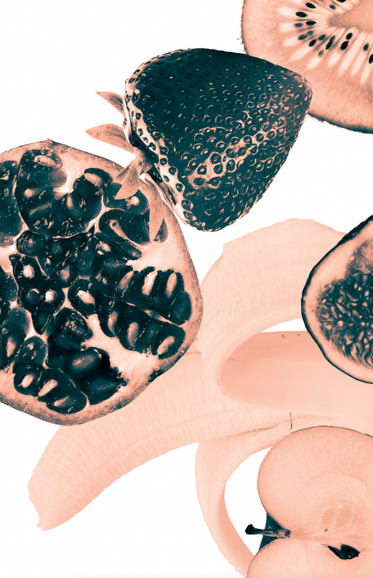 A3 Sepia Fruits Print