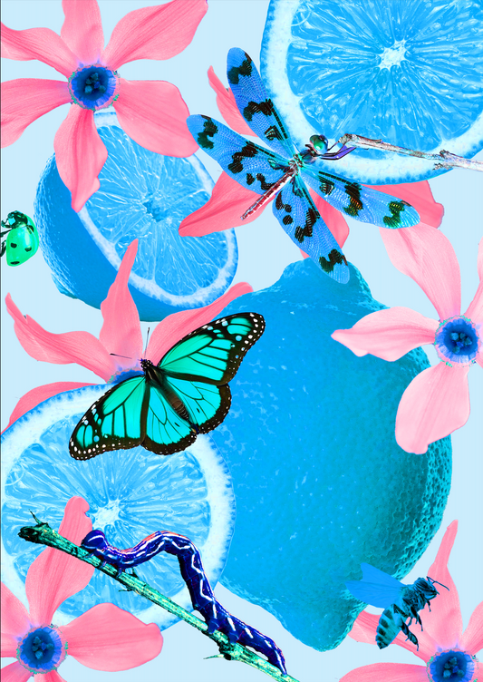 A3 Framed Blue Lemons and Insects Salad